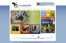 Duke Lemur