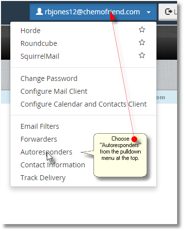 Choose autoresponder from the menu