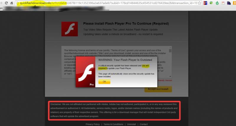 fake flash update warning