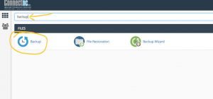 cPanel Backup Step 1