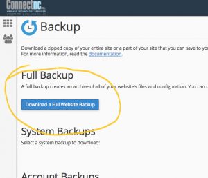 cPanel Backup Step 2