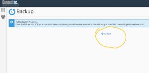 cPanel Backup Step 4