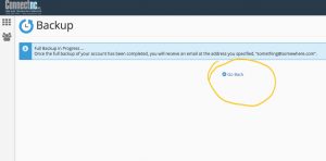 cPanel Backup Step 4