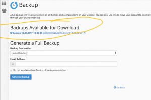 cPanel Backup Step 5